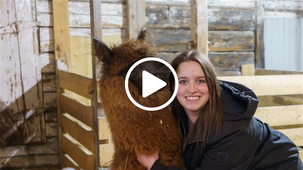 La zoopédagogie selon Érika Boucher