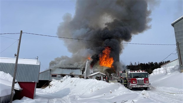 Un bâtiment agricole est ravagé par les flammes à Saint-Georges 