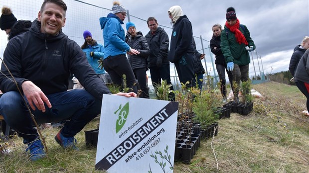 Un projet de reboisement social au Cégep Beauce-Appalaches