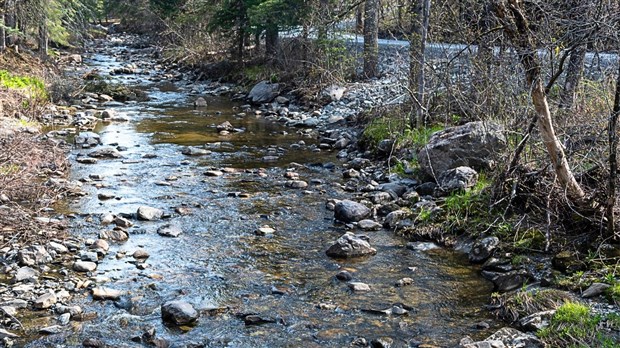 Un soutien de 140 000 $ pour restaurer un cours d’eau