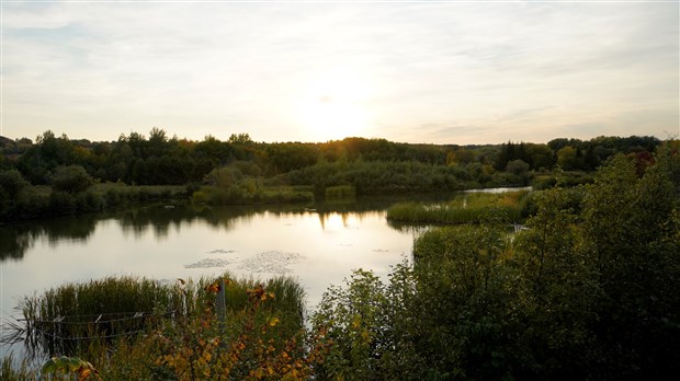 Ottawa lance une consultation publique sur la protection de la biodiversité