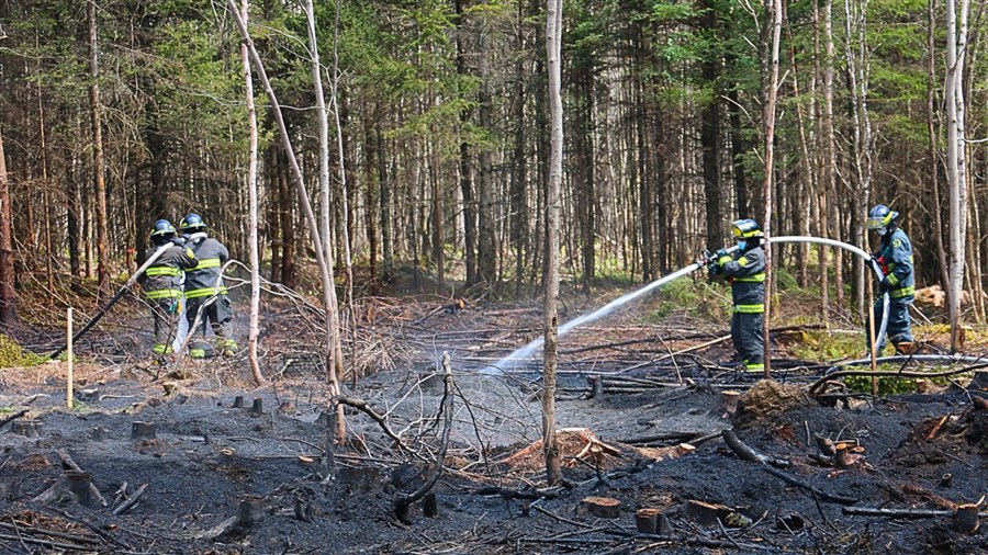 Niveau extrême du danger d'incendie de forêt en Beauce-Appalaches
