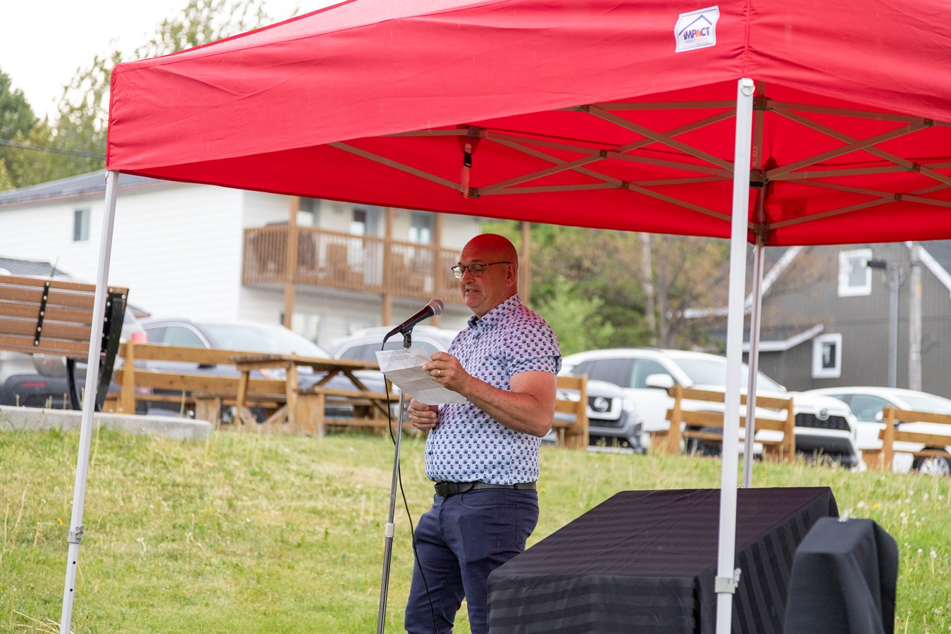 SaintSimonlesMines plantation de l'arbre des générations pour une