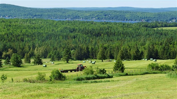 Protection du territoire agricole: une mise à jour nécessaire, selon l'UPA et les entreprises