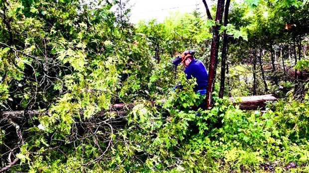 La SOPFEU lève les interdictions de travaux forestiers et de feu à ciel ouvert