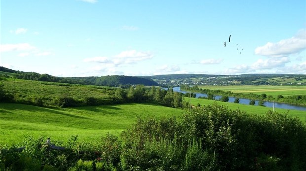 Galerie 1: la Beauce en été