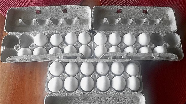 Industrie des oeufs: comment elle peut être alliée de l'économie circulaire?