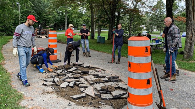 Des végétaux en place et lieu de l'asphalte