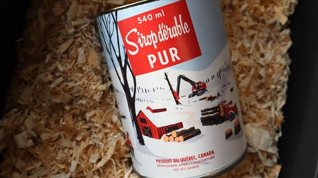 Protection des érables en forêt publique: les producteurs acéricoles dénoncent le laxisme de Québec