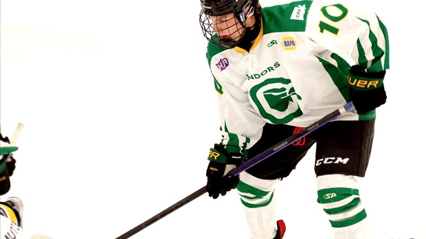 Les Condors survolent les Cobras avec une victoire de 8-2