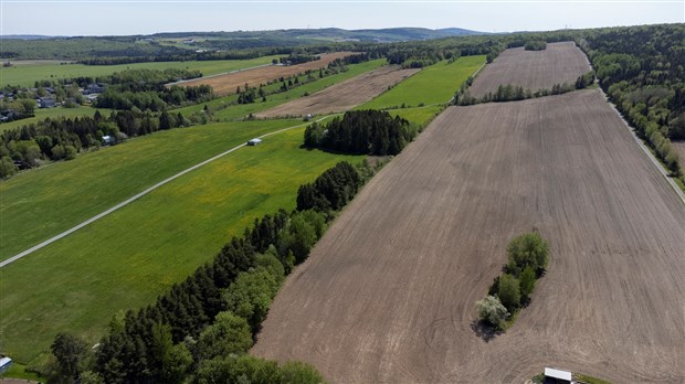 Deux entreprises beauceronnes reçoivent un financement pour leur production