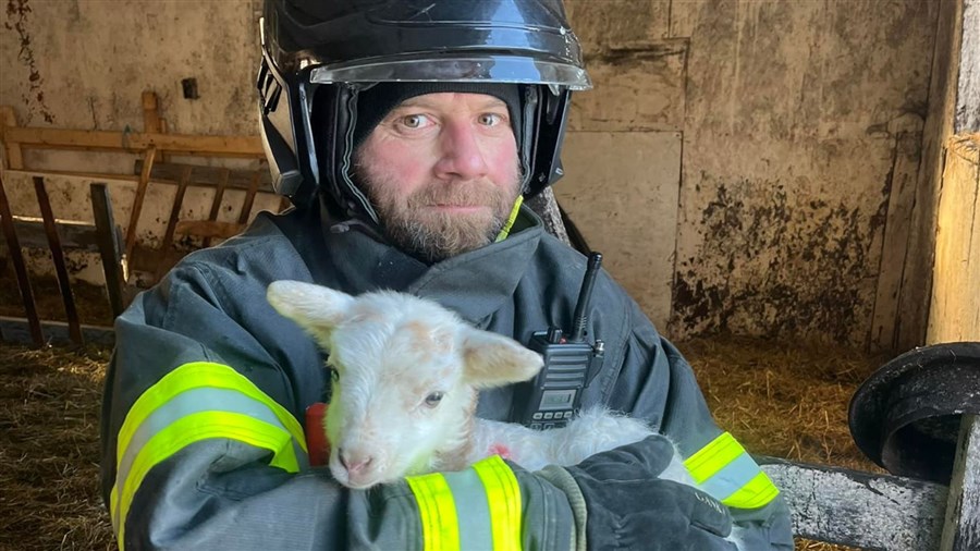 Saint-Jules: les pompiers sauvent une bergerie