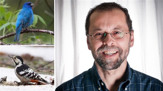 Conférence sur les oiseaux en jardin