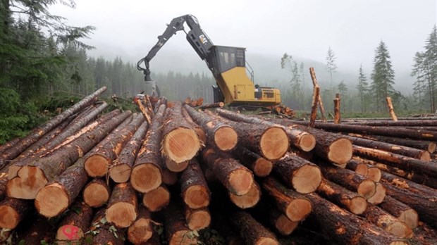 Des groupes demandent de mieux évaluer les émissions du secteur forestier