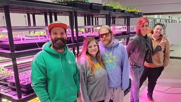 Le CJE des Etchemins s'associe à la coopérative de solidarité « Production de plateau »