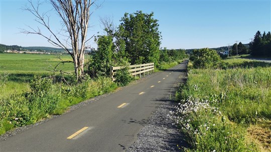 Piste cyclable: si près du but