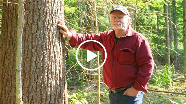 Yvan Bélanger témoigne des services du Groupement forestier Beauce-Sud Inc.
