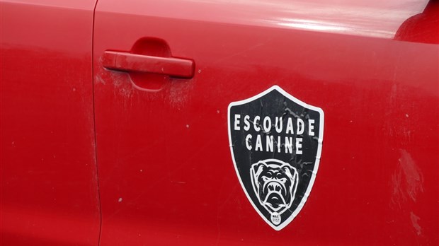 Escouade Canine : la femme du propriétaire relance un service animalier à Vallée-Jonction