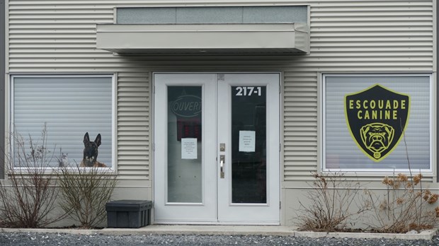 L'Escouade Canine MRC expulsée de ses locaux de Beauceville