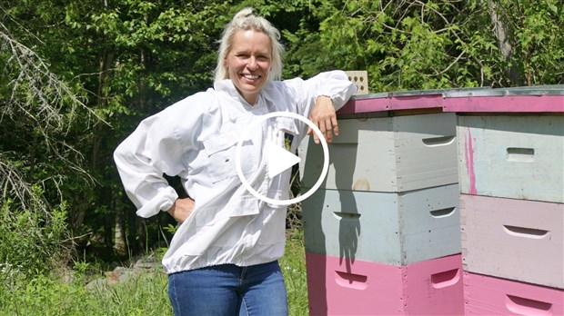 Apiculture : un métier entre passion et défis permanents