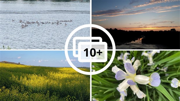 Vos photos de la saison estivale