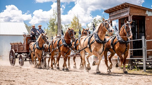 La 58 édition de l’Exposition agricole de Beauce s'ouvre aujourd'hui