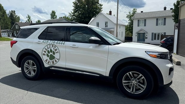 Gestion animalière : la Ville de Sainte-Marie choisit finalement Passeport Animal