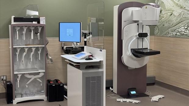 On pourrait dépister le cancer du sein avec une simple prise de sang