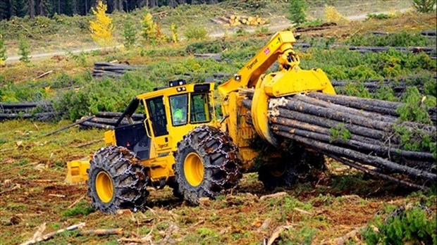 Consultation publique sur le plan d'aménagement forestier 