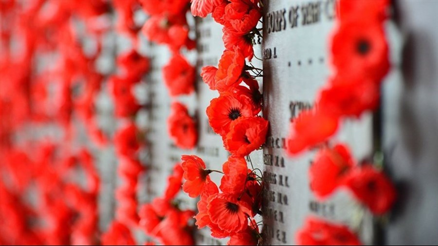 Début de la Campagne du coquelicot