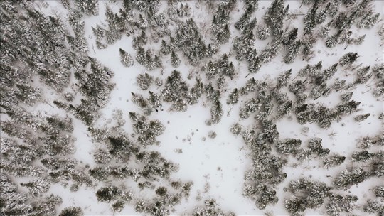 Appel à projets pour le développement touristique