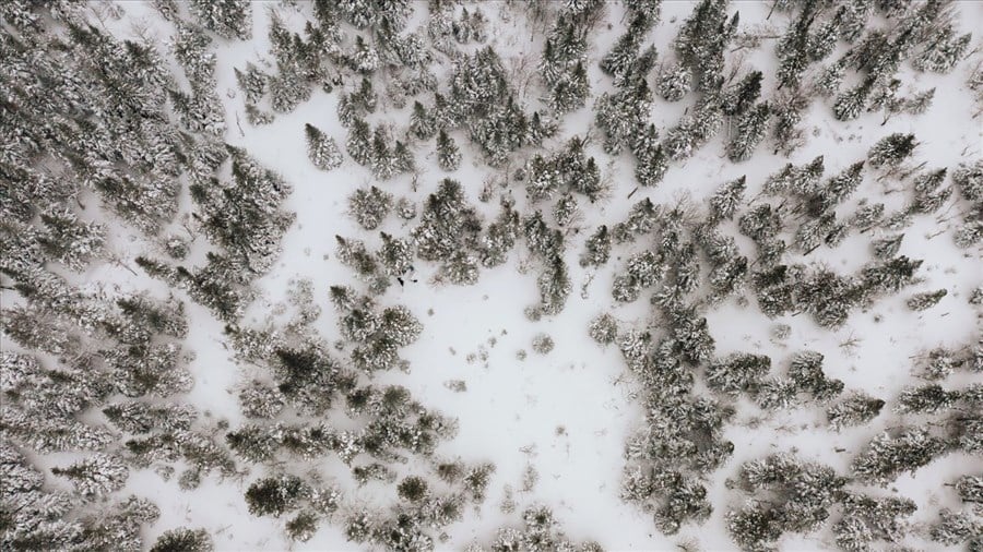 Appel à projets pour le développement touristique