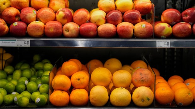 Une étude s'inquiète de l'effet de produits chimiques sur le microbiome