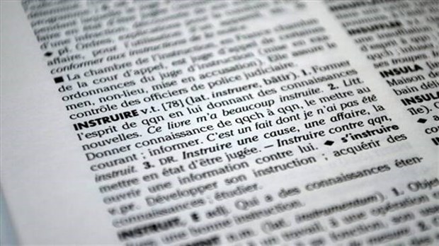 Les 12 termes de l’année 2025