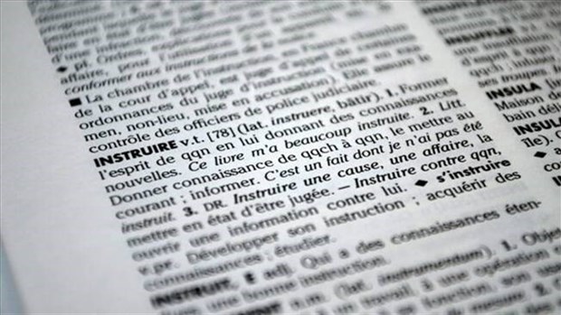 Les 12 termes de l’année 2025