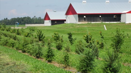 Des fermes de Chaudière-Appalaches mieux outillées face aux changements climatiques