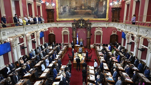 Ces maux qui assaillent notre démocratie