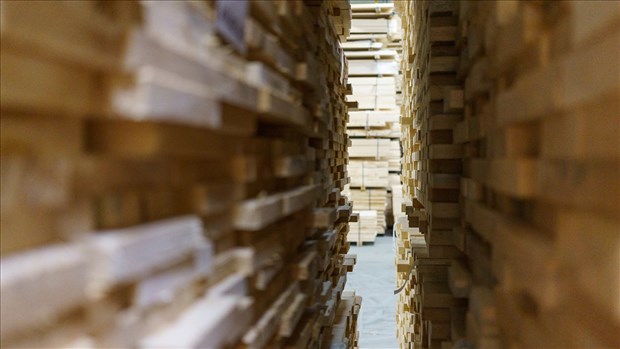 Ottawa doit imposer un moratoire lié au Programme des travailleurs étrangers temporaires