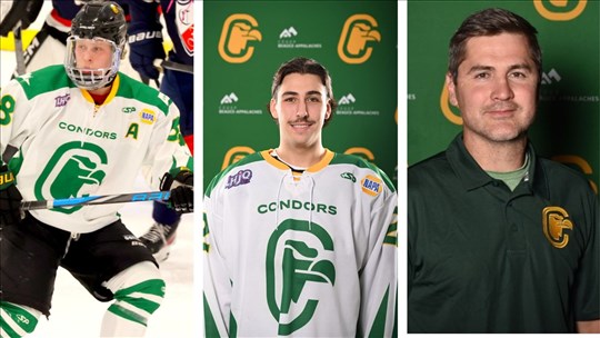 Quelques changements chez les Condors