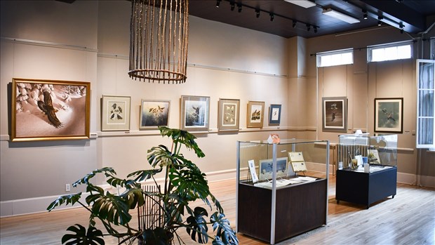 Une rétrospective dédiée au peintre Jean-Luc Grondin à Saint-Georges