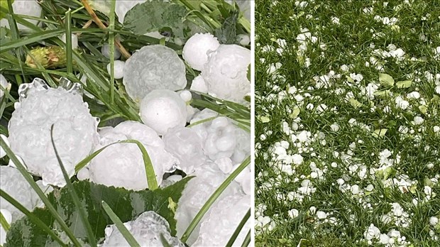 De la grêle tombée en Beauce