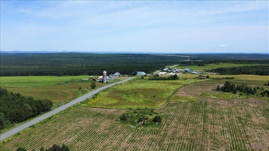 Québec investit 1,75 M$ pour des projets agricoles et agroalimentaires 