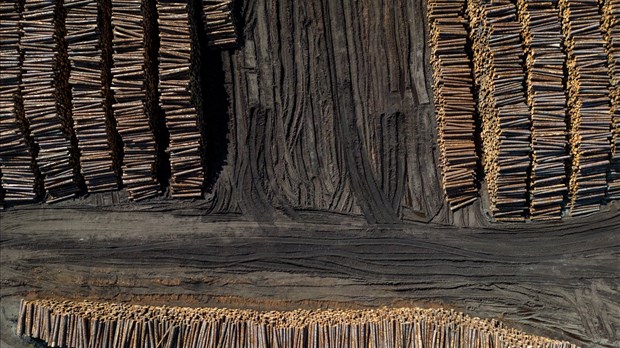 Craintes face aux droits de douane rétroactifs des États-Unis sur le bois canadien