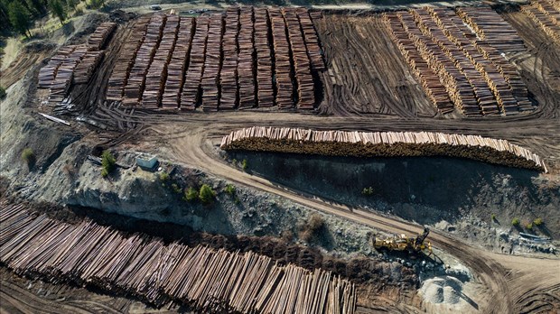 Bois d’œuvre: le Canada abandonne deux contestations face aux États-Unis