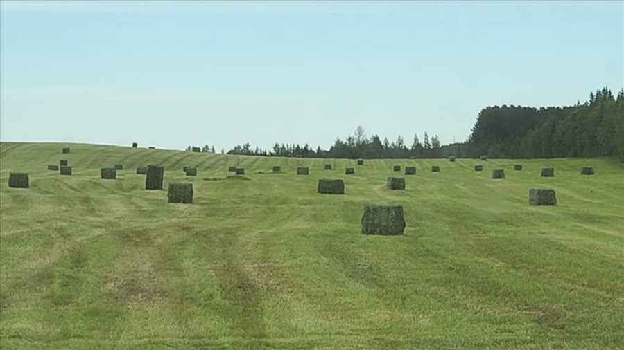 Appel à candidature pour le concours Agricultrice - Fièrement inspirante 2026