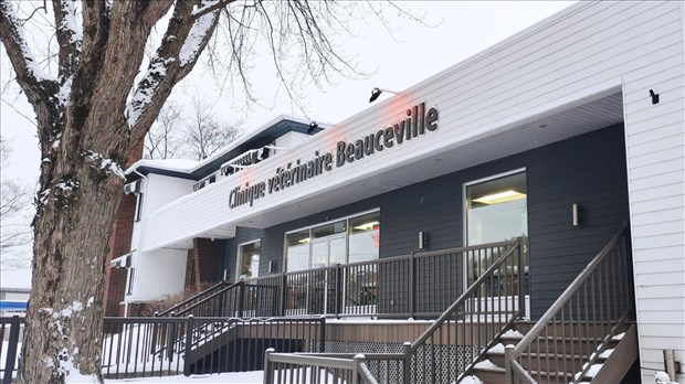 La Clinique vétérinaire Beauceville fermera le 27 février