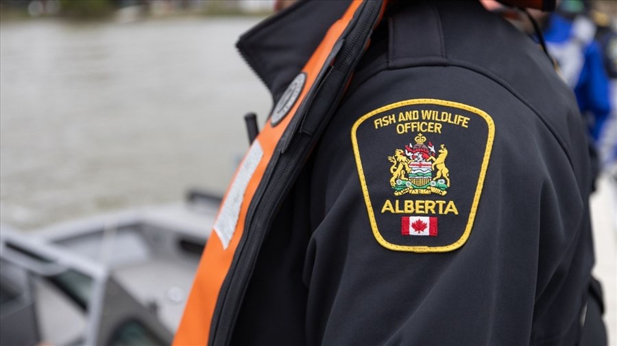 Trois chasseurs de la Beauce condamnés pour braconnage en Alberta