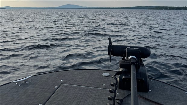 Navigation de plaisance: de nouvelles règles en vigueur pour les propriétaires de bateau