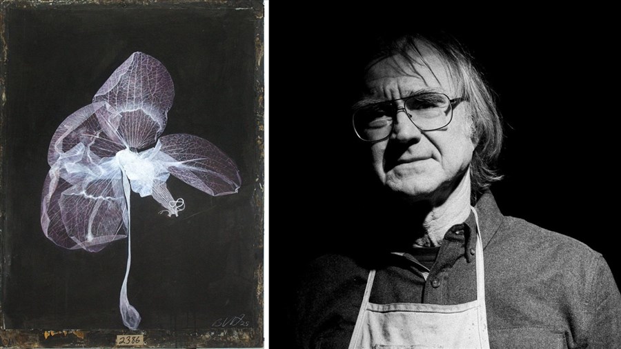 Le Marius B. Musée reçoit l’exposition Exsiccatae de Bill Vincent