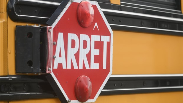 Le signal d'arrêt des bus scolaires trop souvent ignoré, déplorent les transporteurs